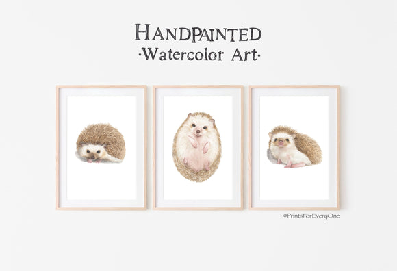 Set of 3 Hedgehog Watercolor Prints