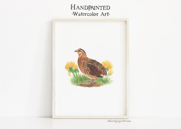 Quail Bird Watercolor print, Bird art, Digital Download