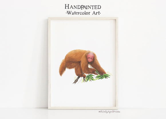 Uakari Watercolor print, INSTANT DOWNLOAD