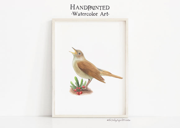 Nightingale Watercolor art print, INSTANT DOWNLOAD