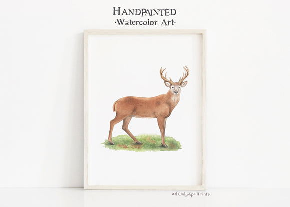 Deer Watercolor Art, INSTANT DOWNLOAD