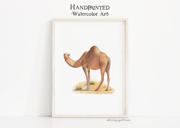 Camel Watercolor Art, INSTANT DOWNLOAD