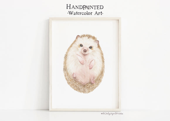 Hedgehog Belly Watercolor Art, INSTANT DOWNLOAD